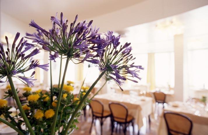 Hotel Torremaura Milano Marittima Dış mekan fotoğraf